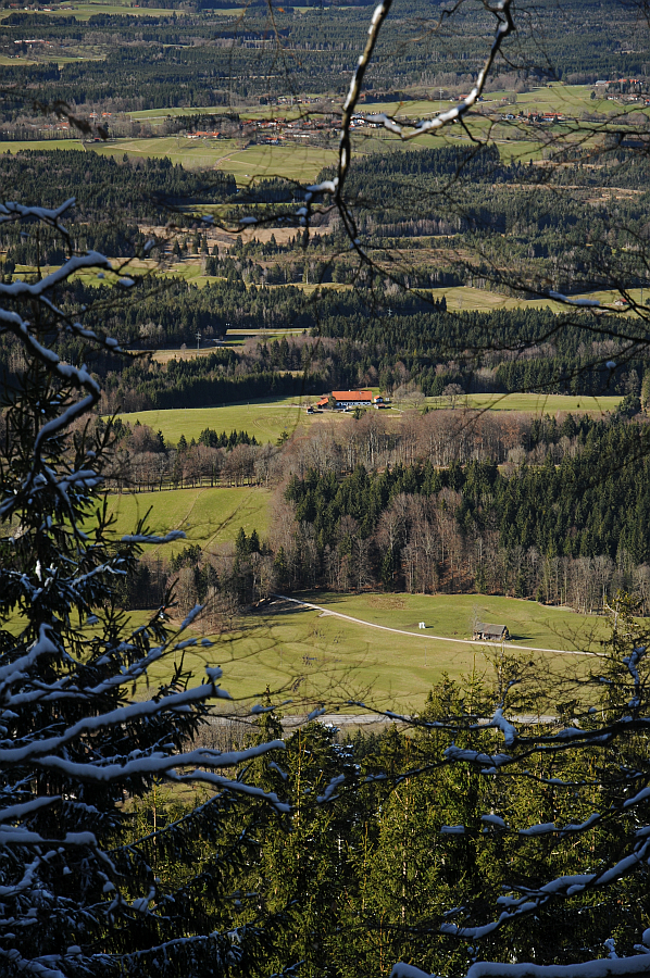 dsc_9487.jpg