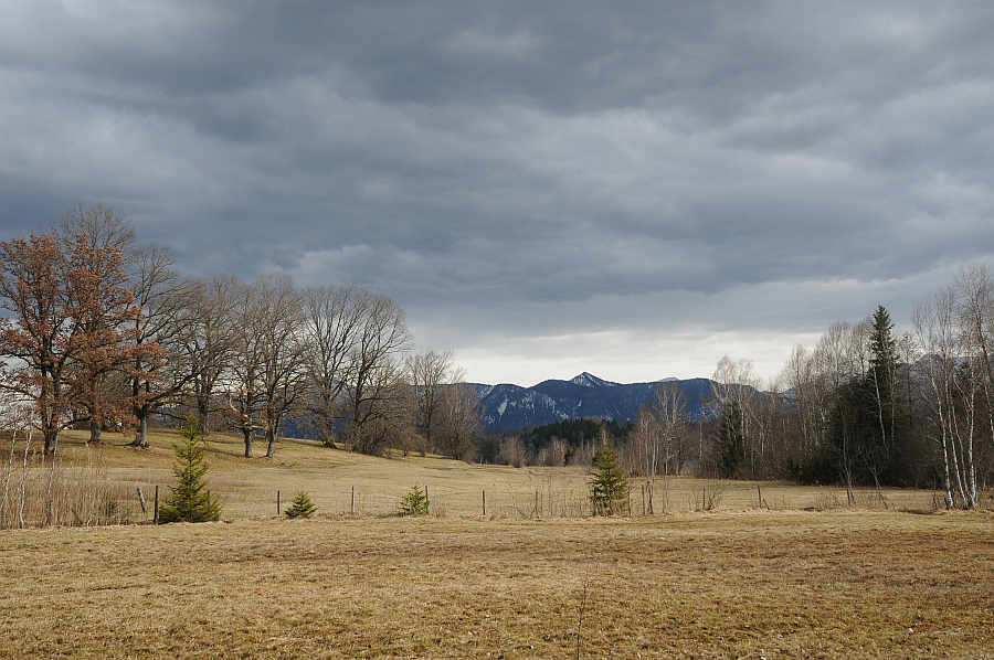 dsc_9711.jpg