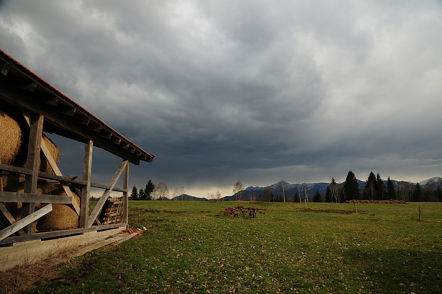 dsc_9768.jpg