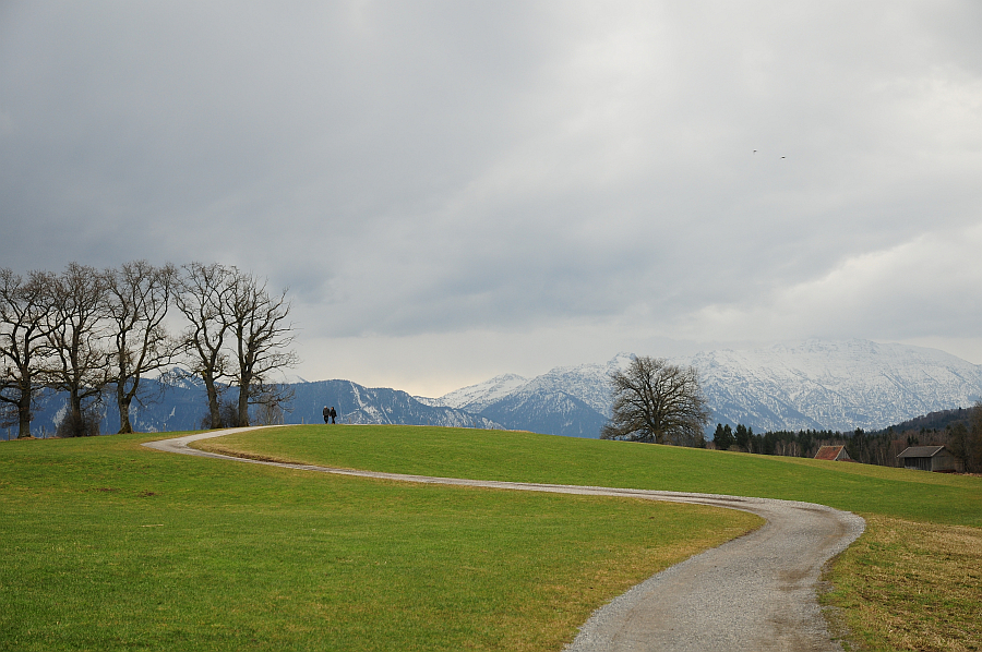dsc_9835.jpg