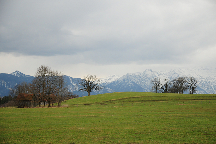 dsc_9846.jpg